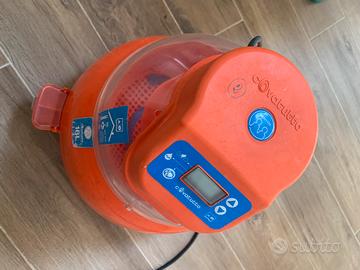 Incubatrice Novital 16L automatica
