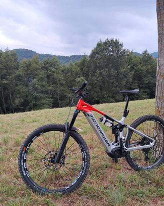 Mondraker crafty r