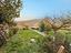 Immagine 25