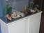 Immagine 6