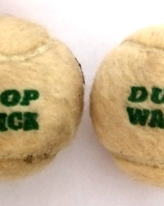 Palline Tennis Dunlop WARWICK Tennis vintage