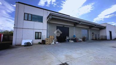 ATTIVITÀ A NOVI LIGURE