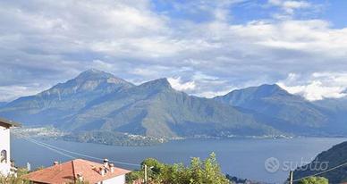 RUSTICO CON VISTA LAGO