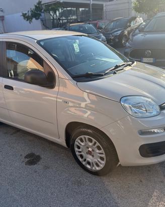 Fiat Panda 1.2 Easy Perfetta