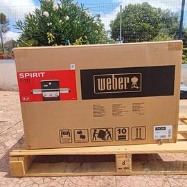 Barbecue Weber a gas