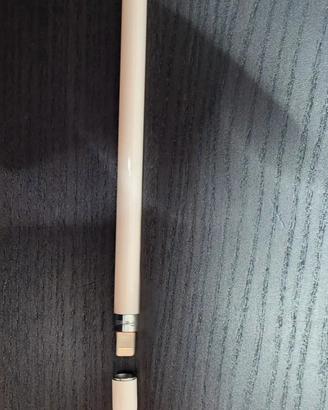 PENNA DIGITALE APPLE 