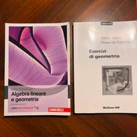 Libro + eserciziario geometria/algebra lineare