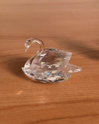 Swarovski - cigni