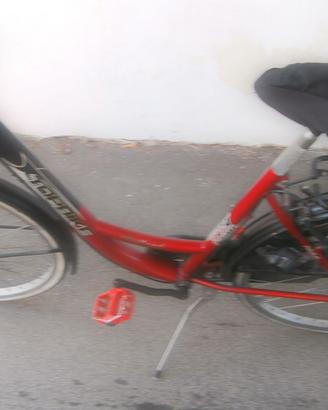 bicicletta da 26" marca top bike