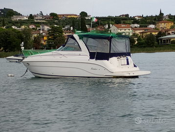 Rinker 29