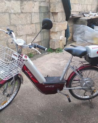 Bici elettrica vintage 