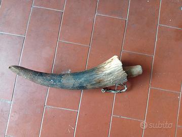 Corno di mucca e pietra affilalame