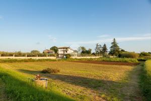 TER. RESIDENZIALE A CEPAGATTI