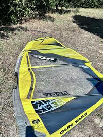 Vela windsurf ion