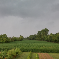 Terreno agricolo - Mirano (VE)