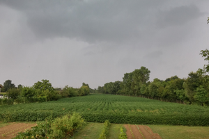 Terreno agricolo - Mirano (VE)