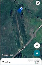 Terreno di 6.000 mq a Torrice (FR) (Via Perazzeta)