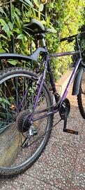Bicicletta