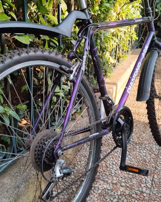Bicicletta