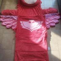 Pisolone PJ Masks