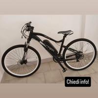 bici elettrica 