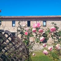 Casale Il Cantico della Tenerezza