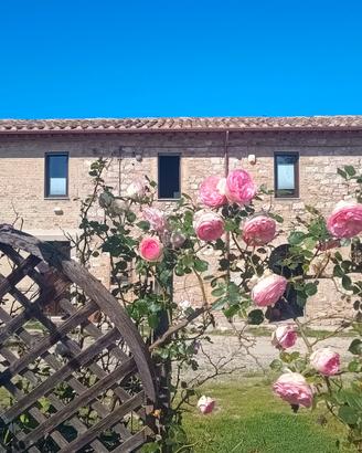 Casale Il Cantico della Tenerezza