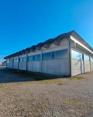 Magazzino in zona artigianale a Urbana (PD)