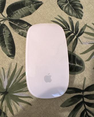 Mouse apple
