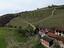 Immagine 16