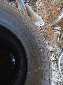 4  gomme estive