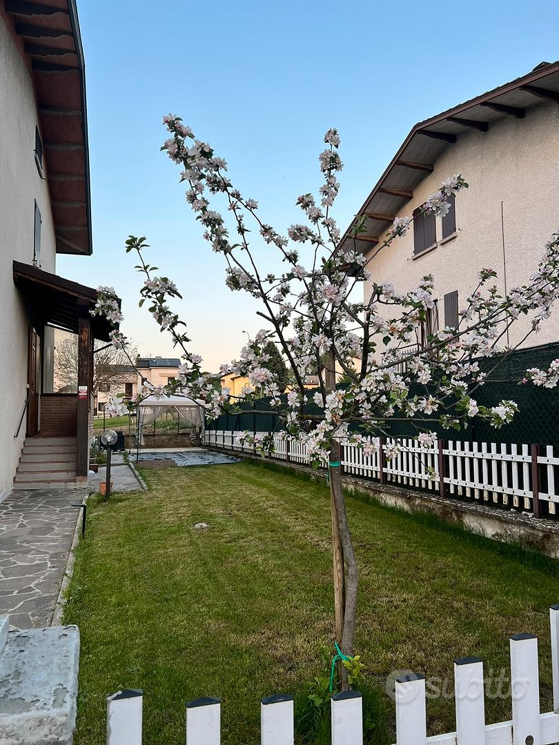 Casa – Carpineti, Ca' de' Beretti - Vista 2