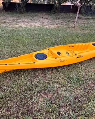 Kayak