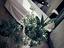Immagine 7