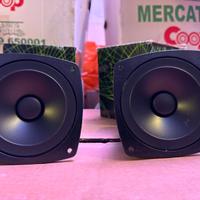 Midrange nuovi vintage peerless coral electronic
