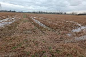 RGE 278/2023 Trib Pavia- LOTTO 3