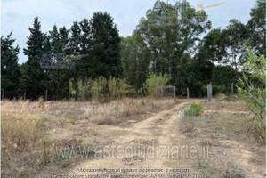 Terreno Agricolo Serramanna [A4344026]