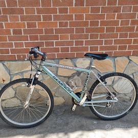 Mountain bike 