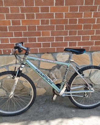 Mountain bike 