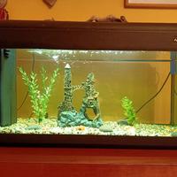 acquario pet Company 80 - 100 litri