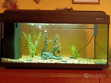 acquario pet Company 80 - 100 litri