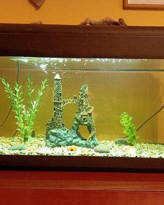 acquario pet Company 80 - 100 litri