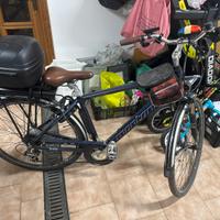 Bici elettrica