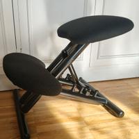 Sedia ergonomica Cinius