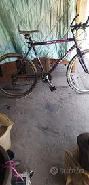 Bici mountain  bike 