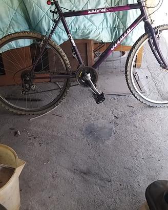 Bici mountain  bike 