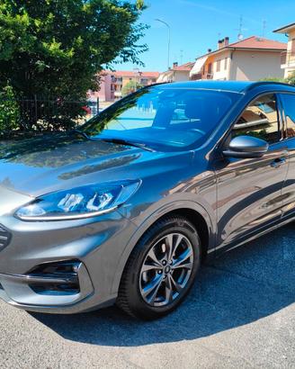 Ford Kuga 2.0 EcoBlue Mild Hybrid 150 CV Manuale