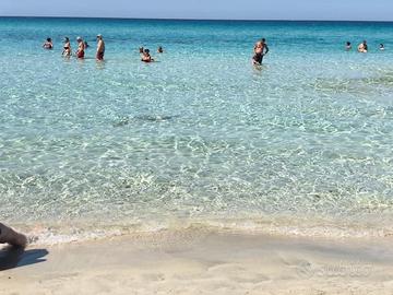 Bilocale con clima 4 posti baia verde gi gallipoli