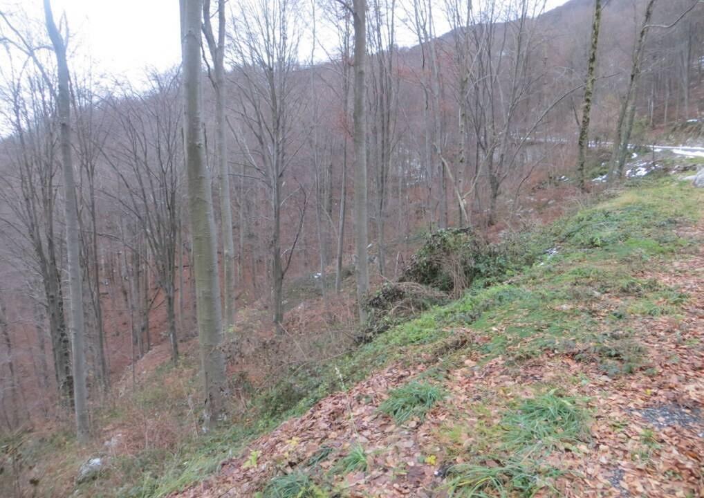 Immobile in asta di 19906 m² a Costa Valle Imagna - Vista 5