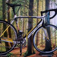 Splendida bici da corsa alta gamma